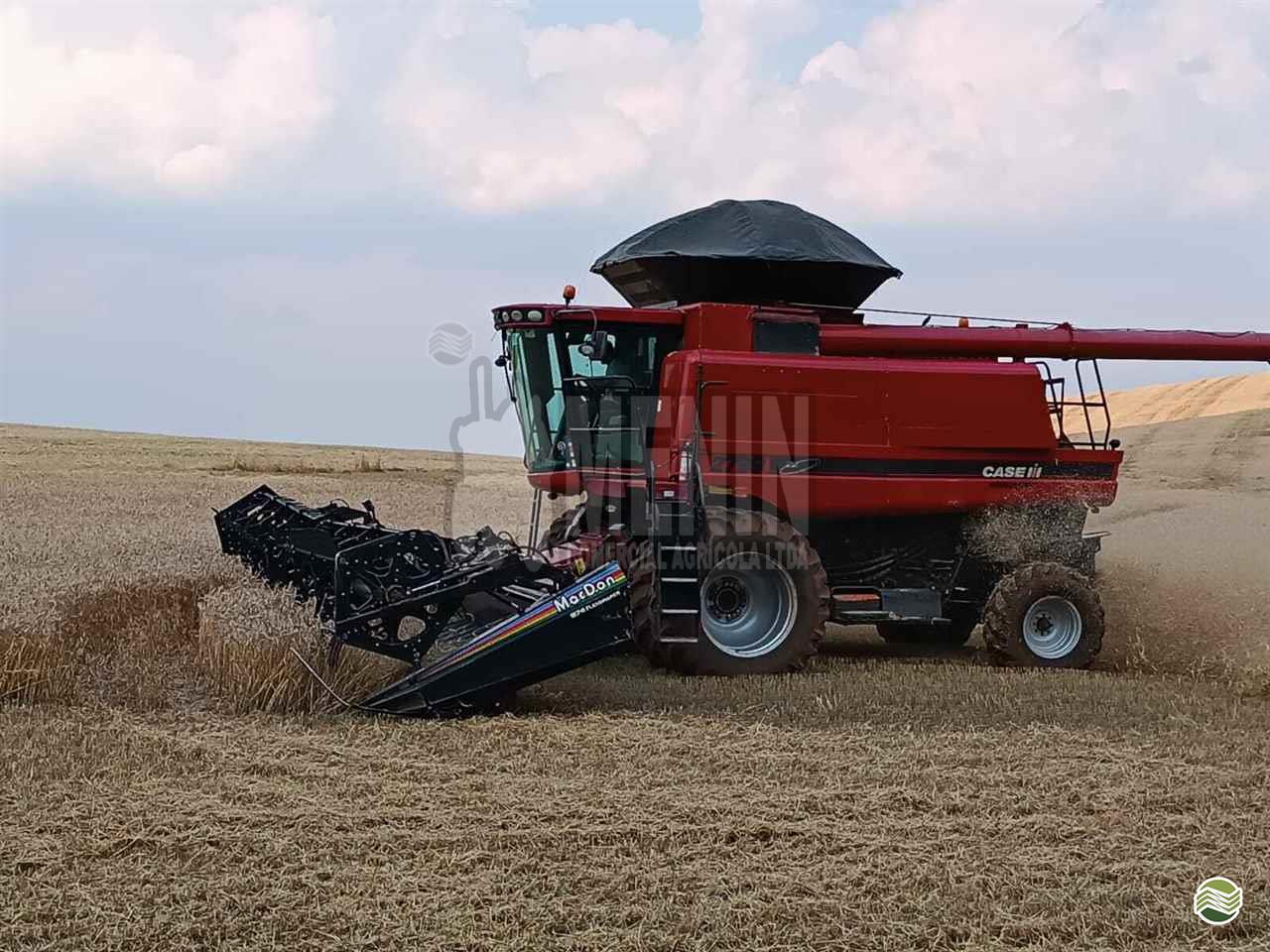 COLHEITADEIRA CASE CASE 2799 Menin Comercial Agrícola QUATRO IRMAOS RIO GRANDE DO SUL RS